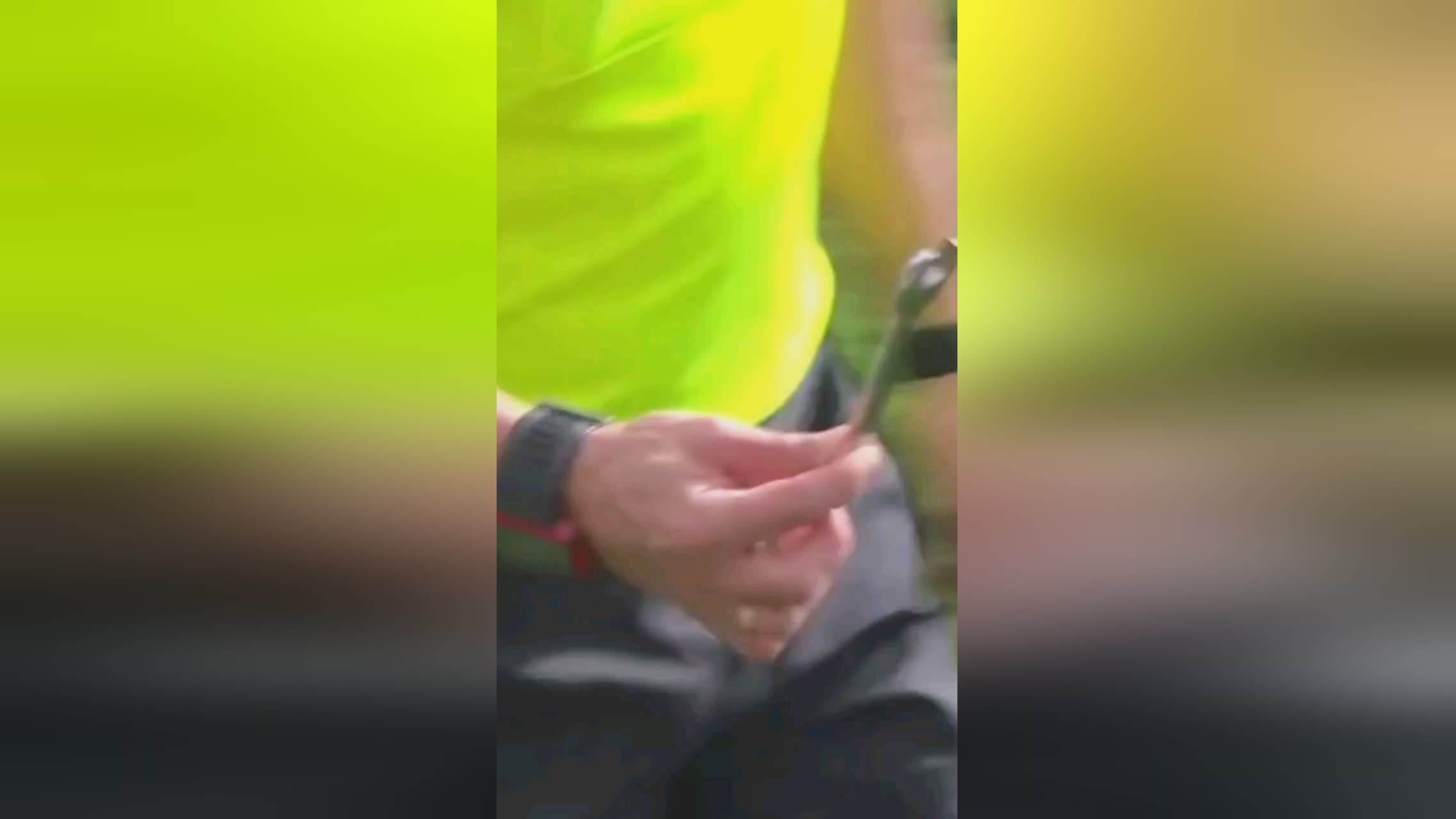 波兰